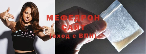индика Инсар