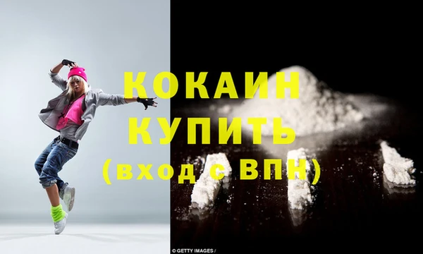 индика Инсар