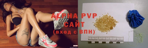 индика Инсар