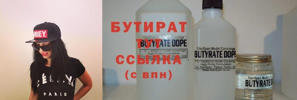 индика Инсар