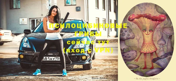 крисы Иннополис