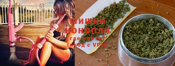 крисы Иннополис