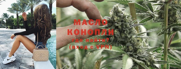 индика Инсар