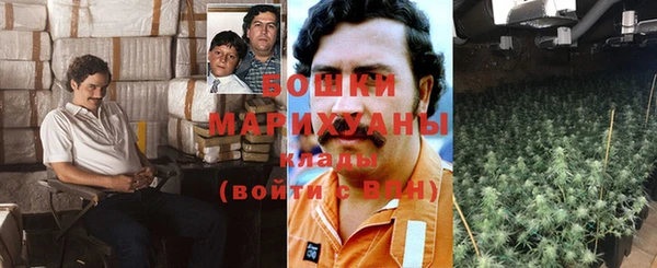 индика Инсар