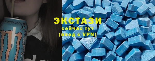 индика Инсар