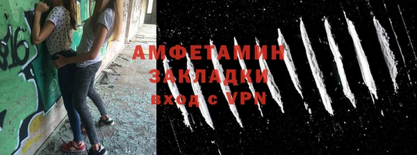 индика Инсар