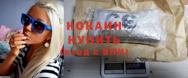индика Инсар