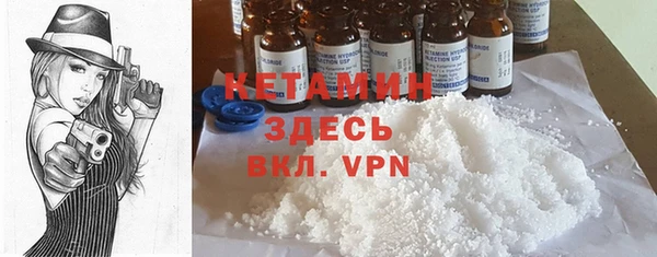 индика Инсар