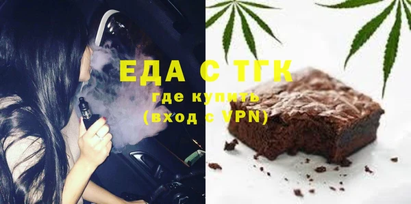 индика Инсар