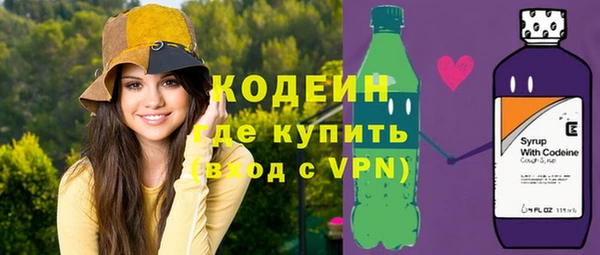 индика Инсар