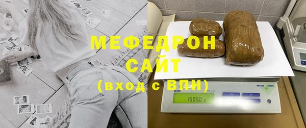 индика Инсар