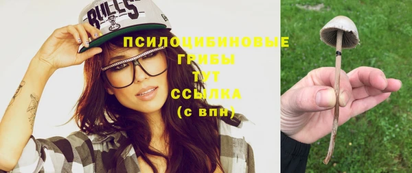 индика Инсар
